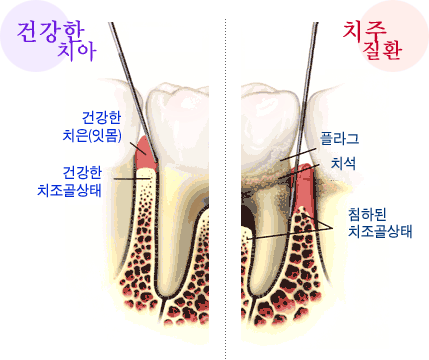 info016.gif
