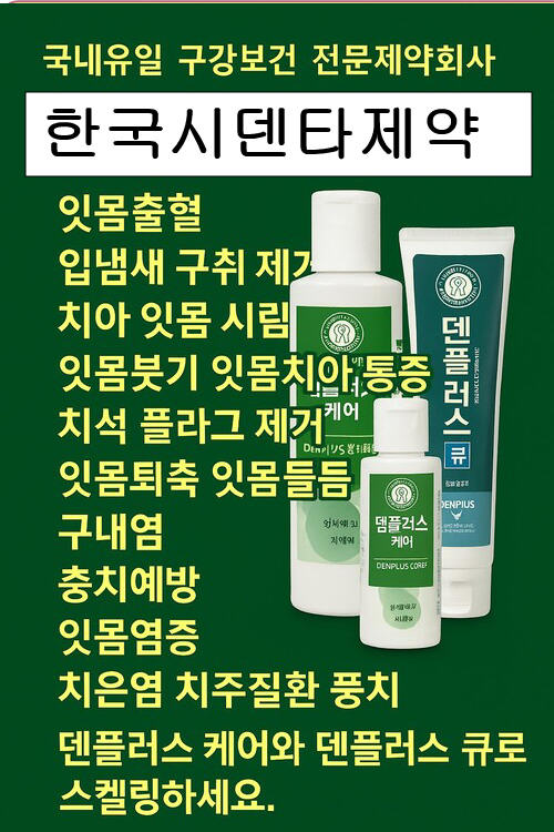 치석없애는 방법